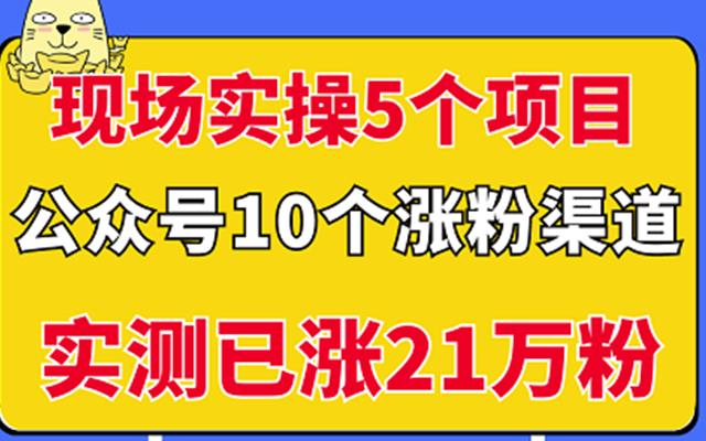 现场实操5个公众号项目，10个涨粉渠道，实测已涨21万粉！网创吧-网创项目资源站-副业项目-创业项目-搞钱项目念念云网创