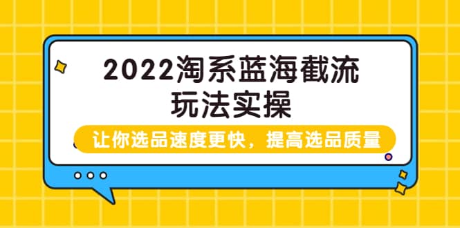 2022淘系蓝海截流玩法实操：让你选品速度更快，提高选品质量（价值599）网创吧-网创项目资源站-副业项目-创业项目-搞钱项目念念云网创