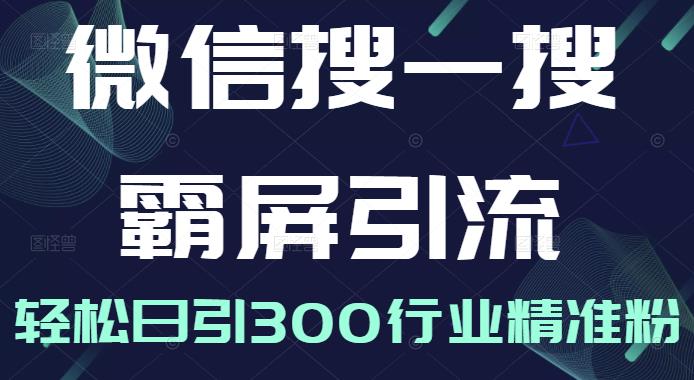 微信搜一搜霸屏引流课，打造被动精准引流系统，轻松日引300行业精准粉【无水印】网创吧-网创项目资源站-副业项目-创业项目-搞钱项目念念云网创