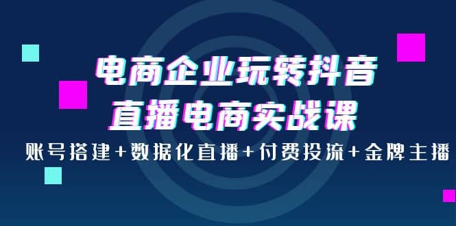 电商企业玩转抖音直播电商实战课：账号搭建+数据化直播+付费投流+金牌主播网创吧-网创项目资源站-副业项目-创业项目-搞钱项目念念云网创