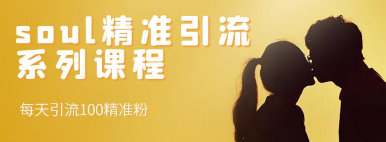 soul精准引流系列课程，每天引流100精准粉网创吧-网创项目资源站-副业项目-创业项目-搞钱项目念念云网创