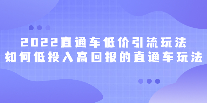 2022直通车低价引流玩法，教大家如何低投入高回报的直通车玩法网创吧-网创项目资源站-副业项目-创业项目-搞钱项目念念云网创
