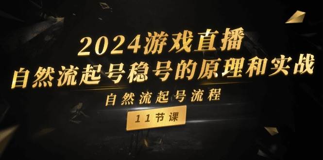 2024游戏直播-自然流起号稳号的原理和实战，自然流起号流程（11节）网创吧-网创项目资源站-副业项目-创业项目-搞钱项目念念云网创