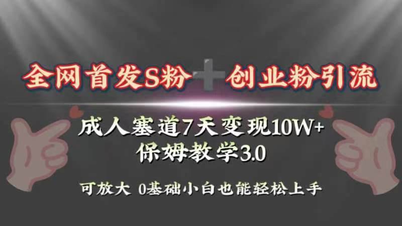 全网首发s粉加创业粉引流变现，成人用品赛道7天变现10w+保姆教学3.0网创吧-网创项目资源站-副业项目-创业项目-搞钱项目念念云网创