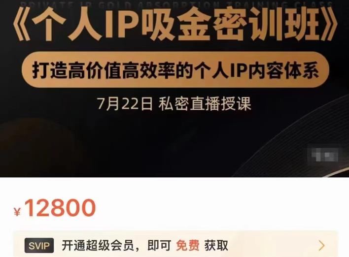 个人IP吸金密训班，打造高价值高效率的个人IP内容体系（价值12800元）网创吧-网创项目资源站-副业项目-创业项目-搞钱项目念念云网创