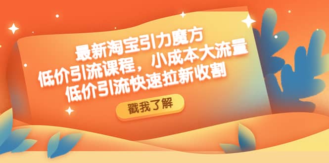 最新淘宝引力魔方低价引流实操：小成本大流量网创吧-网创项目资源站-副业项目-创业项目-搞钱项目念念云网创