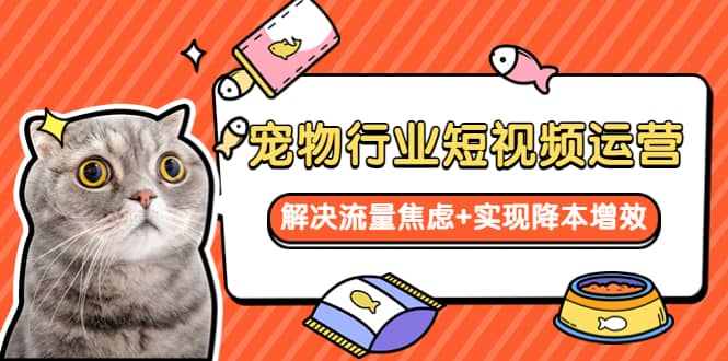 宠物/行业短视频运营 流量增长的一层窗户纸 解决流量焦虑+实现降本增效网创吧-网创项目资源站-副业项目-创业项目-搞钱项目念念云网创