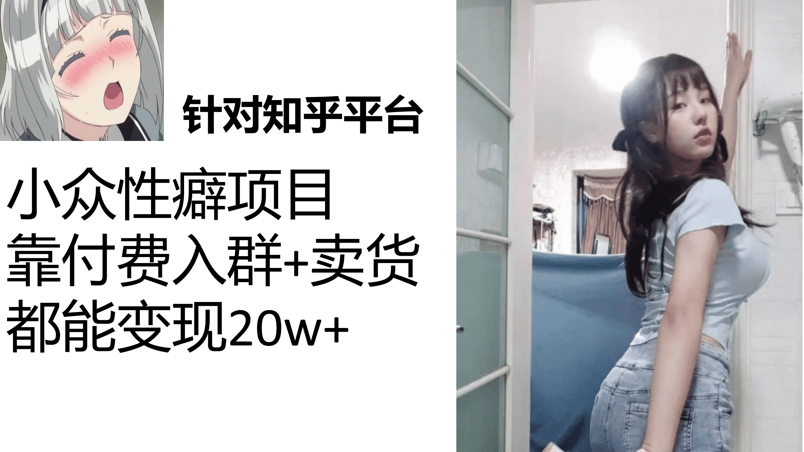 知乎小众性癖项目，Lsp的钱才是最好赚的，付费建群+卖货变现20w网创吧-网创项目资源站-副业项目-创业项目-搞钱项目念念云网创