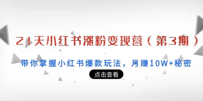 21天小红书涨粉变现营（第3期）：带你掌握小红书爆款玩法，月赚10W+秘密网创吧-网创项目资源站-副业项目-创业项目-搞钱项目念念云网创