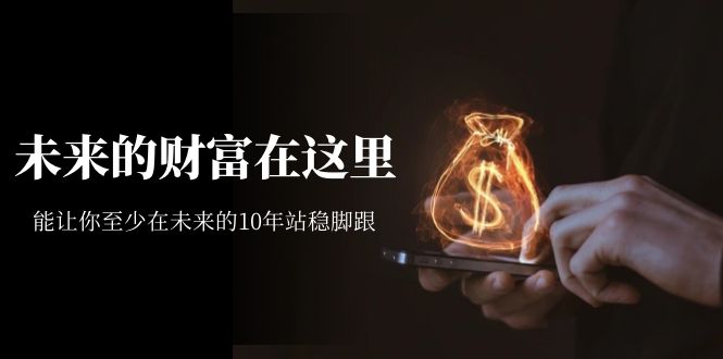 某收费文章《未来的财富在这里》能让你至少在未来的10年站稳脚跟网创吧-网创项目资源站-副业项目-创业项目-搞钱项目念念云网创