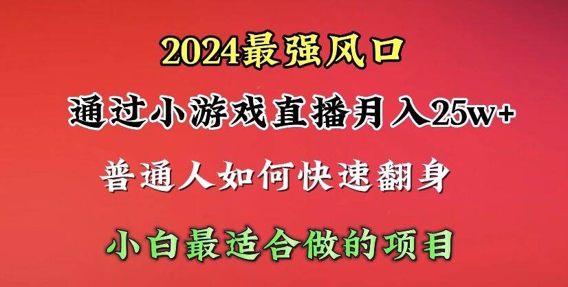 2024年最强风口，通过小游戏直播月入25w+单日收益5000+小白最适合做的项目网创吧-网创项目资源站-副业项目-创业项目-搞钱项目念念云网创