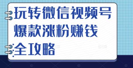 玩转微信视频号爆款涨粉赚钱全攻略，让你快速抓住流量风口，收获红利财富网创吧-网创项目资源站-副业项目-创业项目-搞钱项目念念云网创