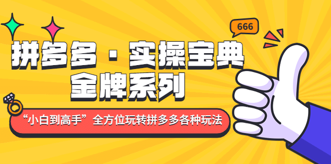 拼多多·实操宝典：金牌系列“小白到高手”带你全方位玩转拼多多各种玩法网创吧-网创项目资源站-副业项目-创业项目-搞钱项目念念云网创