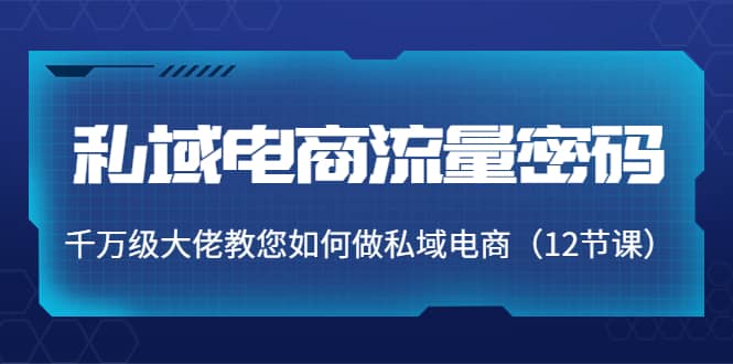 私域电商流量密码：千万级大佬教您如何做私域电商（12节课）网创吧-网创项目资源站-副业项目-创业项目-搞钱项目念念云网创