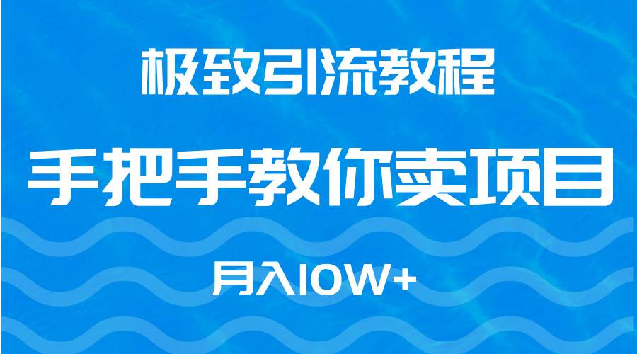 极致引流教程，手把手教你卖项目，月入10W+网创吧-网创项目资源站-副业项目-创业项目-搞钱项目念念云网创
