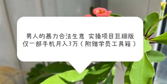 男人的暴力合法生意实操项目巨细版：仅一部手机月入3w（附赠学员工具箱）网创吧-网创项目资源站-副业项目-创业项目-搞钱项目念念云网创
