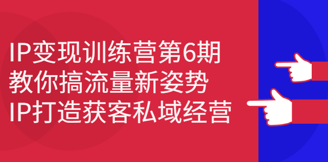 IP变现训练营第6期：教你搞流量新姿势，IP打造获客私域经营网创吧-网创项目资源站-副业项目-创业项目-搞钱项目念念云网创