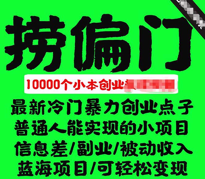 千款捞偏门小本创业小项目，总有一款适合你【无水印】网创吧-网创项目资源站-副业项目-创业项目-搞钱项目念念云网创