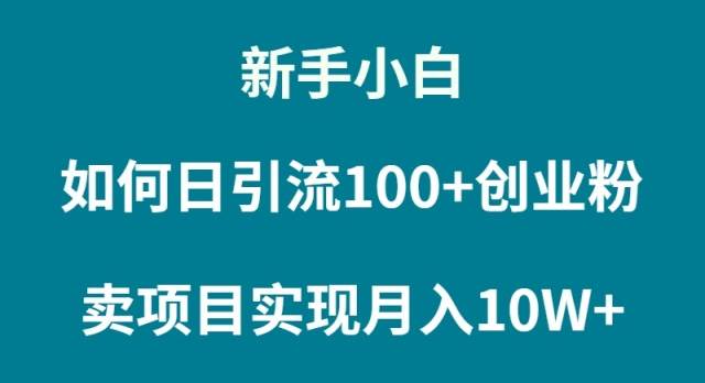 新手小白如何通过卖项目实现月入10W+网创吧-网创项目资源站-副业项目-创业项目-搞钱项目念念云网创