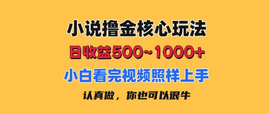 小说撸金核心玩法，日收益500-1000+，小白看完照样上手，0成本有手就行网创吧-网创项目资源站-副业项目-创业项目-搞钱项目念念云网创
