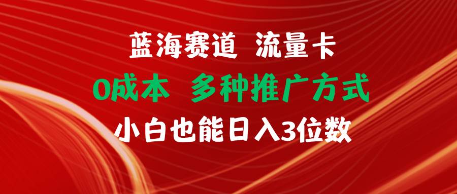 蓝海赛道 流量卡 0成本 小白也能日入三位数网创吧-网创项目资源站-副业项目-创业项目-搞钱项目念念云网创