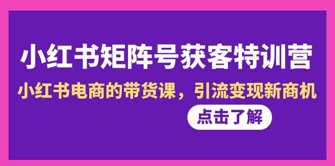 小红书-矩阵号获客特训营-第10期，小红书电商的带货课，引流变现新商机网创吧-网创项目资源站-副业项目-创业项目-搞钱项目念念云网创
