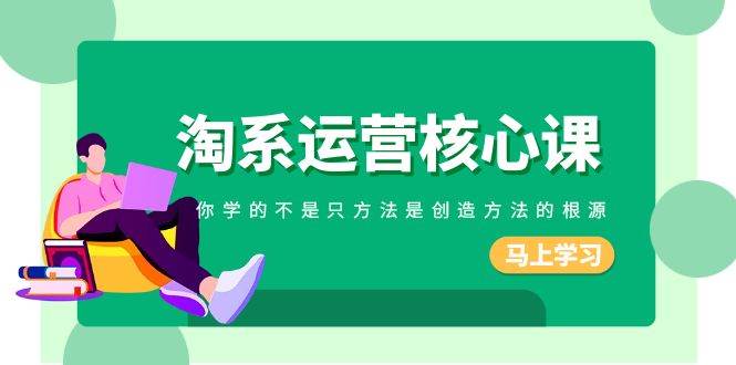 淘系-运营核心课，你学的不是只方法是创造方法的根源（190节课）网创吧-网创项目资源站-副业项目-创业项目-搞钱项目念念云网创