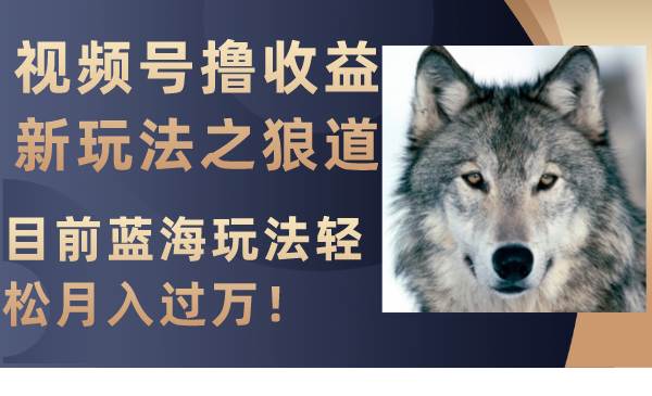 视频号撸收益新玩法之狼道，目前蓝海玩法轻松月入过万！网创吧-网创项目资源站-副业项目-创业项目-搞钱项目念念云网创