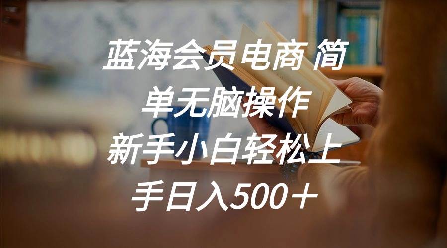 蓝海会员电商 简单无脑操作 新手小白轻松上手日入500＋网创吧-网创项目资源站-副业项目-创业项目-搞钱项目念念云网创