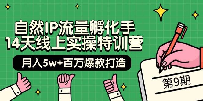 自然IP流量孵化手 14天线上实操特训营【第9期】月入5w+百万爆款打造 (74节)网创吧-网创项目资源站-副业项目-创业项目-搞钱项目念念云网创