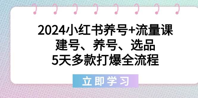 2024小红书养号+流量课：建号、养号、选品，5天多款打爆全流程网创吧-网创项目资源站-副业项目-创业项目-搞钱项目念念云网创