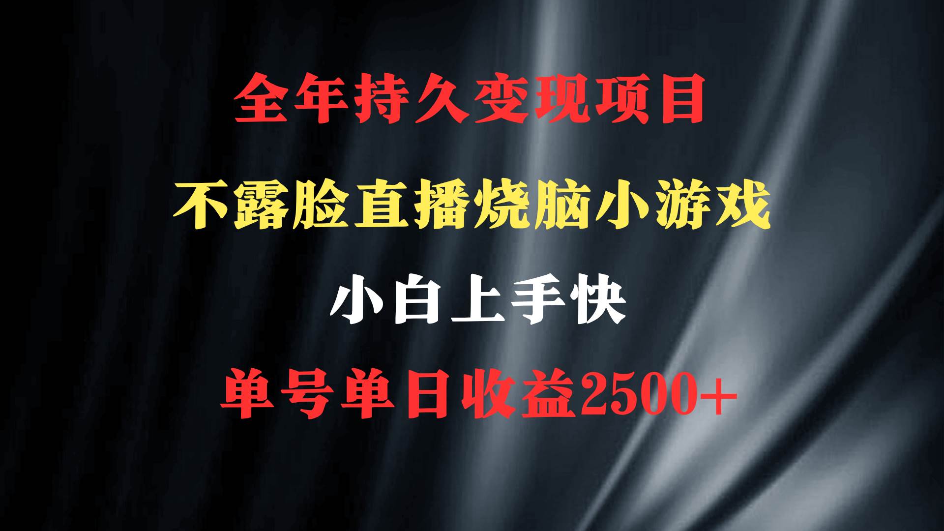 2024年 最优项目，烧脑小游戏不露脸直播  小白上手快 无门槛 一天收益2500+网创吧-网创项目资源站-副业项目-创业项目-搞钱项目念念云网创