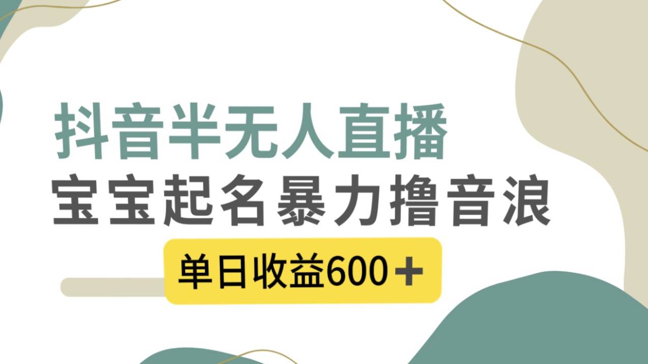 抖音半无人直播，宝宝起名，暴力撸音浪，单日收益600+网创吧-网创项目资源站-副业项目-创业项目-搞钱项目念念云网创