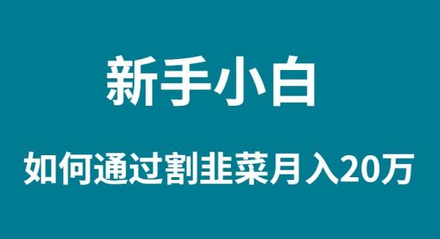 新手小白如何通过割韭菜月入 20W网创吧-网创项目资源站-副业项目-创业项目-搞钱项目念念云网创