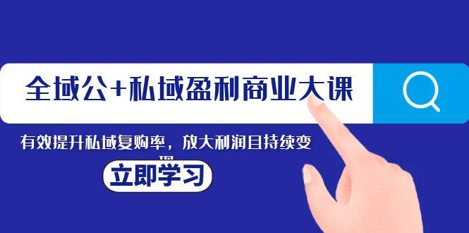 全域公+私域盈利商业大课，有效提升私域复购率，放大利润且持续变现网创吧-网创项目资源站-副业项目-创业项目-搞钱项目念念云网创