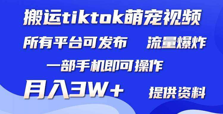 搬运Tiktok萌宠类视频，一部手机即可。所有短视频平台均可操作，月入3W+网创吧-网创项目资源站-副业项目-创业项目-搞钱项目念念云网创
