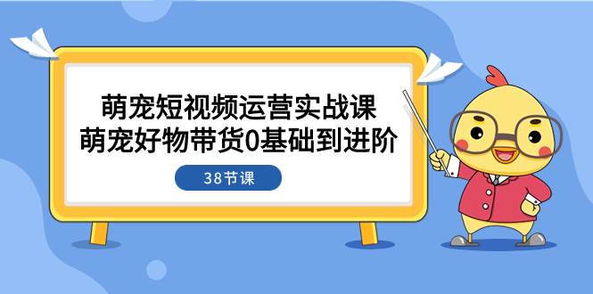 萌宠·短视频运营实战课：萌宠好物带货0基础到进阶（38节课）网创吧-网创项目资源站-副业项目-创业项目-搞钱项目念念云网创