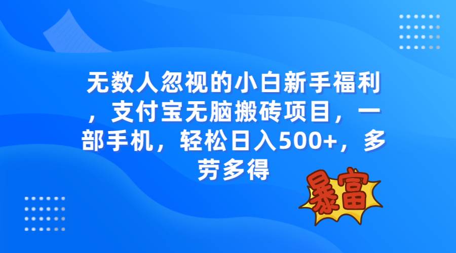 无数人忽视的项目，支付宝无脑搬砖项目，一部手机即可操作，轻松日入500+网创吧-网创项目资源站-副业项目-创业项目-搞钱项目念念云网创