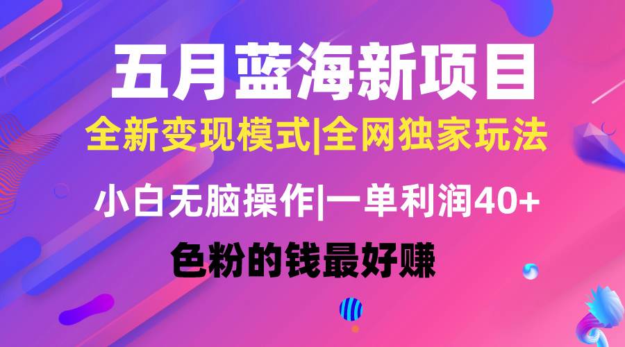 五月蓝海项目全新玩法，小白无脑操作，一天几分钟，矩阵操作，月入4万+网创吧-网创项目资源站-副业项目-创业项目-搞钱项目念念云网创