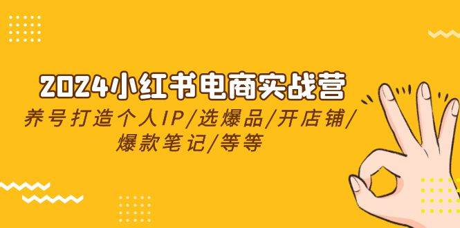 2024小红书电商实战营，养号打造IP/选爆品/开店铺/爆款笔记/等等（24节）网创吧-网创项目资源站-副业项目-创业项目-搞钱项目念念云网创