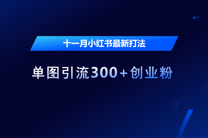 十一月，小红书最新打法，单图引流300+创业粉网创吧-网创项目资源站-副业项目-创业项目-搞钱项目念念云网创