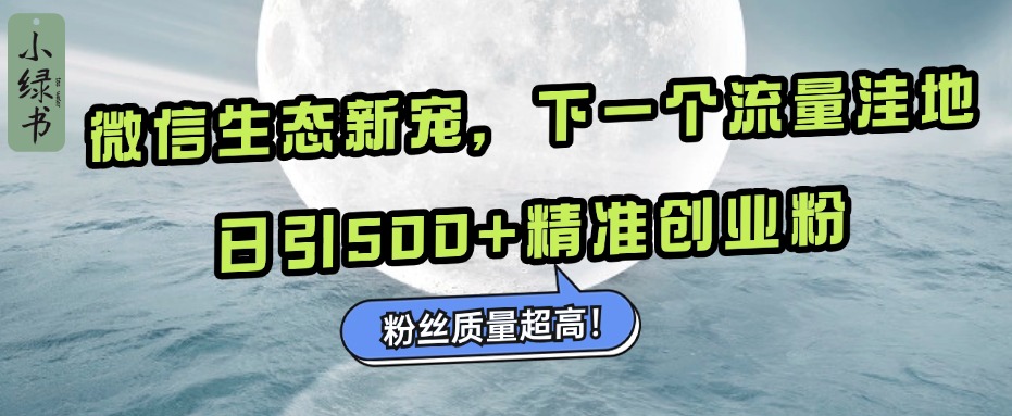 微信生态新宠小绿书：下一个流量洼地，粉丝质量超高，日引500+精准创业粉，网创吧-网创项目资源站-副业项目-创业项目-搞钱项目念念云网创