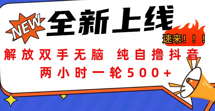 解放双手无脑 纯自撸抖音 两小时一轮500+网创吧-网创项目资源站-副业项目-创业项目-搞钱项目念念云网创