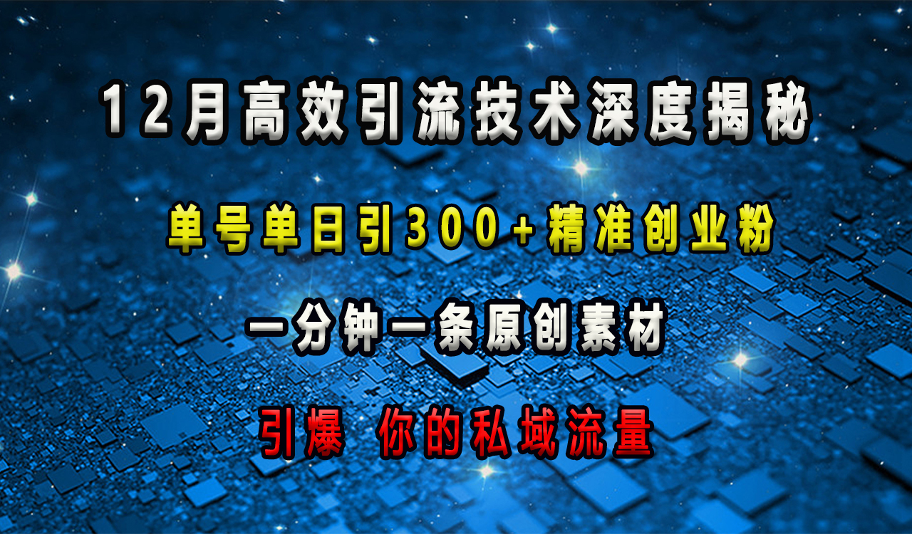 12月高效引流技术深度揭秘 ，单号单日引300+精准创业粉，一分钟一条原创素材，引爆你的私域流量网创吧-网创项目资源站-副业项目-创业项目-搞钱项目念念云网创