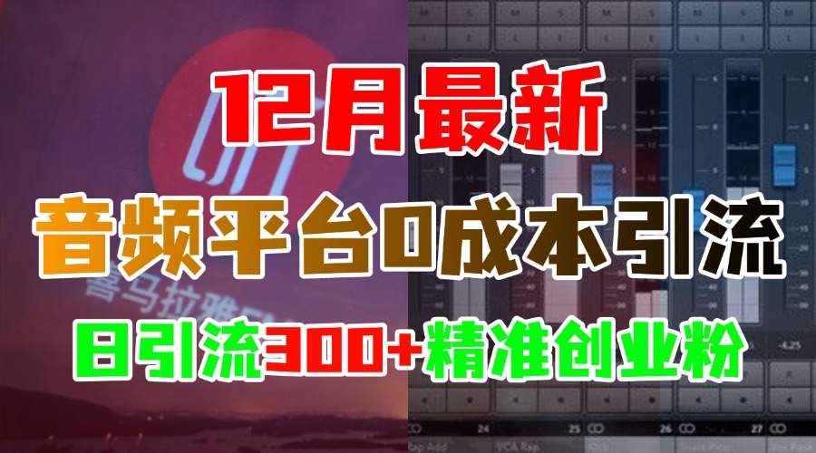 12月最新：音频平台0成本引流，日引300+精准创业粉网创吧-网创项目资源站-副业项目-创业项目-搞钱项目念念云网创