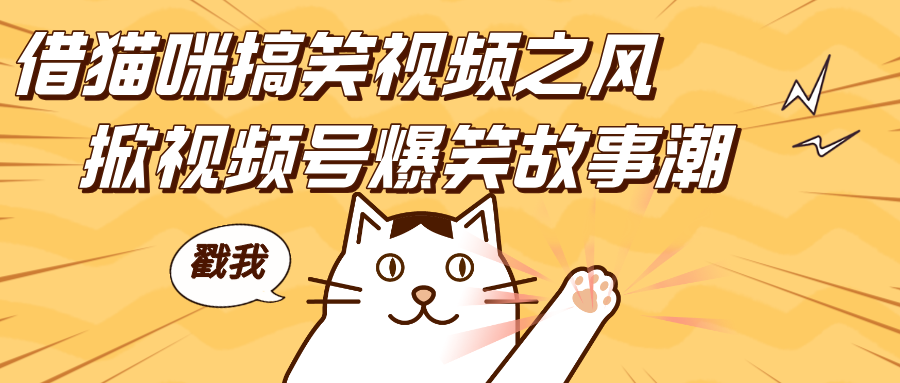 借猫咪搞笑视频之风，掀视频号爆笑故事潮，轻松日赚四位数，开启无门槛赚钱新体验！网创吧-网创项目资源站-副业项目-创业项目-搞钱项目念念云网创
