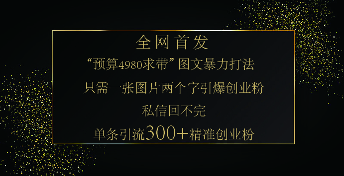小红书，“预算 4980 带我飞” 的神奇图片引流法，堪称涨粉核武器！只需一张图，就能单条笔记凭借此方法，轻松引流 300 + 精准创业粉！网创吧-网创项目资源站-副业项目-创业项目-搞钱项目念念云网创