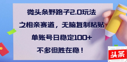 全网首发微头条野路子2.0玩法之相亲赛道，无脑搬砖复制粘贴，单账号日稳定300+保姆级教程网创吧-网创项目资源站-副业项目-创业项目-搞钱项目念念云网创