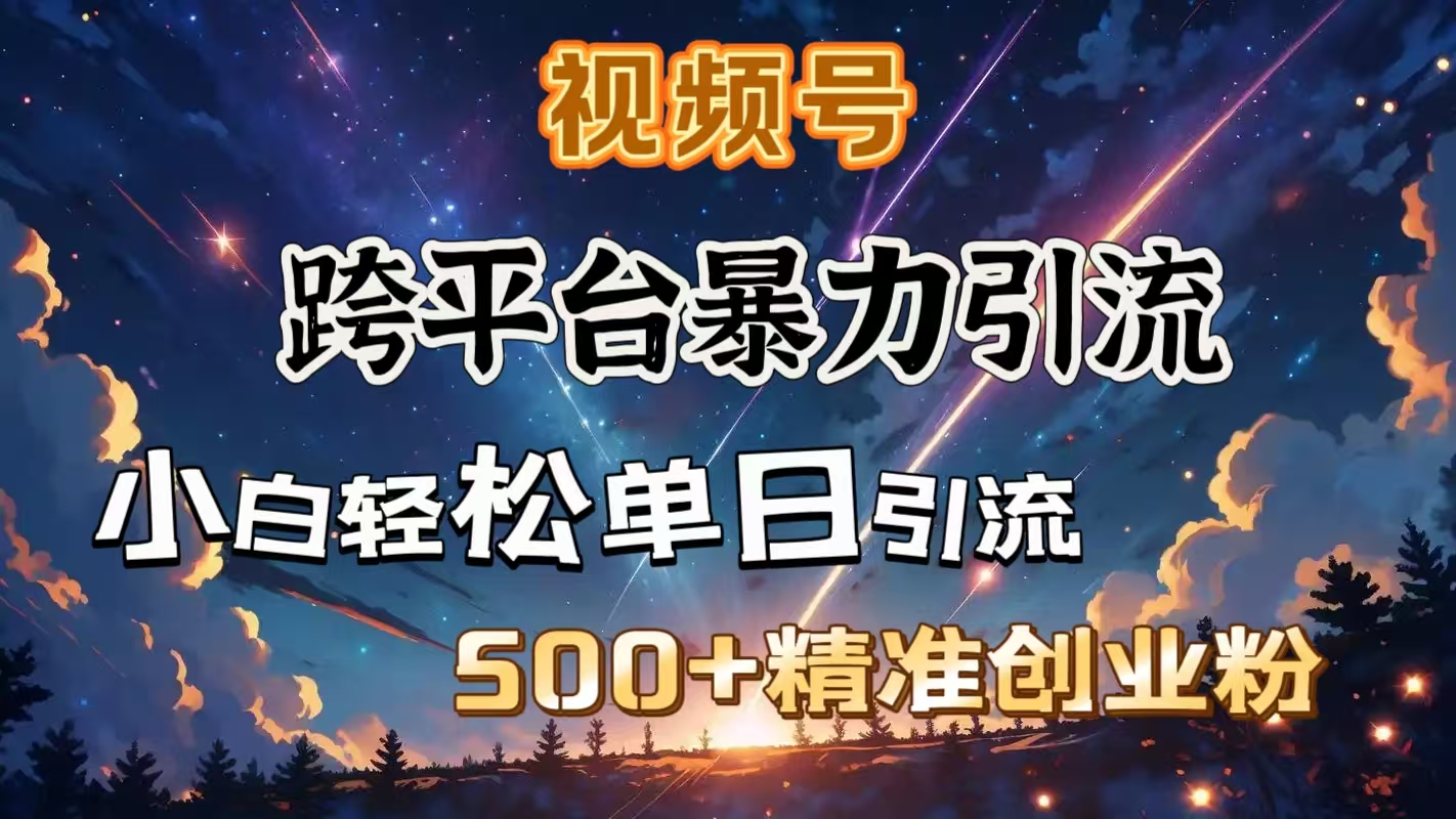 视频号跨平台暴力引流，小白轻松单日引流500＋精准创业粉网创吧-网创项目资源站-副业项目-创业项目-搞钱项目念念云网创
