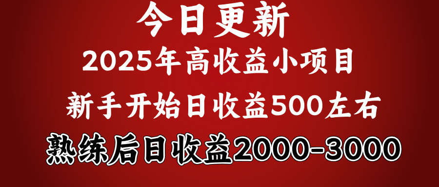 好项目一眼就能看出来，日收益1000，长久可做，2025拼的就是我比你勤奋网创吧-网创项目资源站-副业项目-创业项目-搞钱项目念念云网创